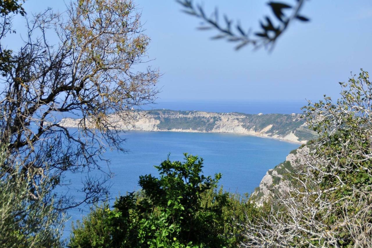 Villa Meli Afionas Corfu Ngoại thất bức ảnh